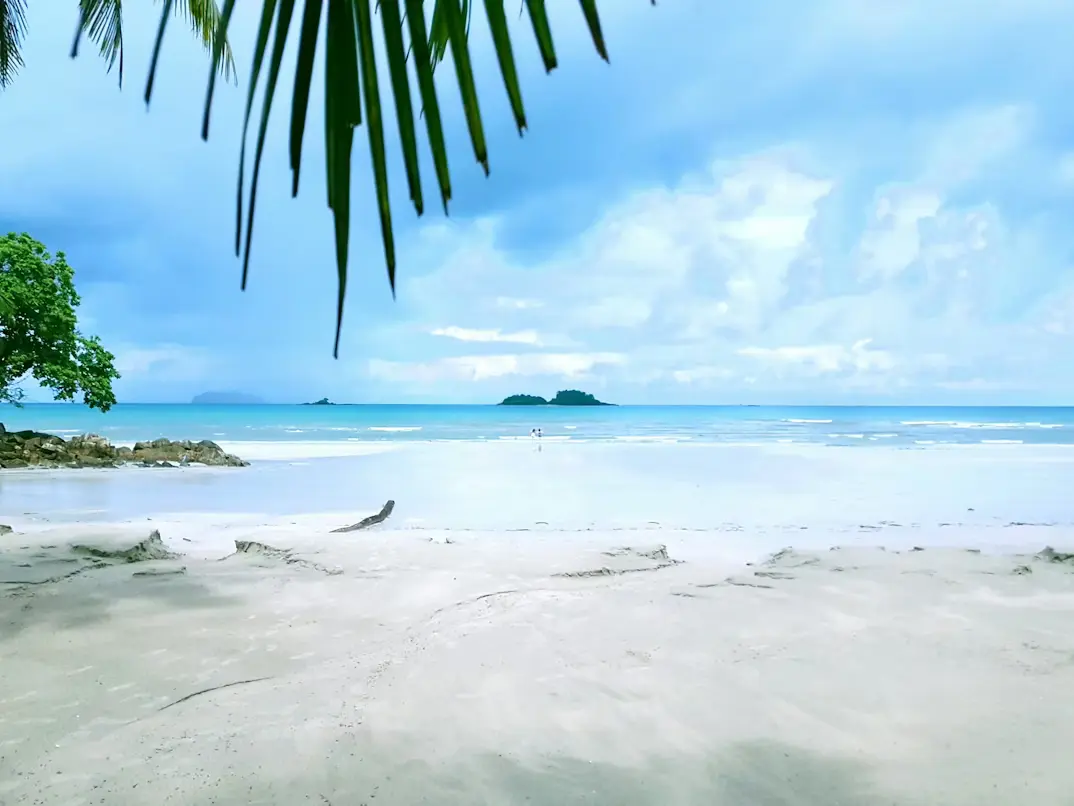 Serene Landscapes of South Goa